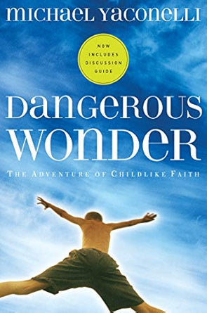 Book | Dangerous Wonder