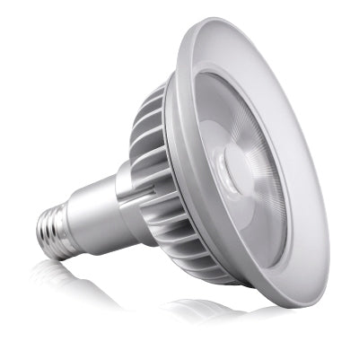 Lamp - High Pot House Light (Mason Wings)